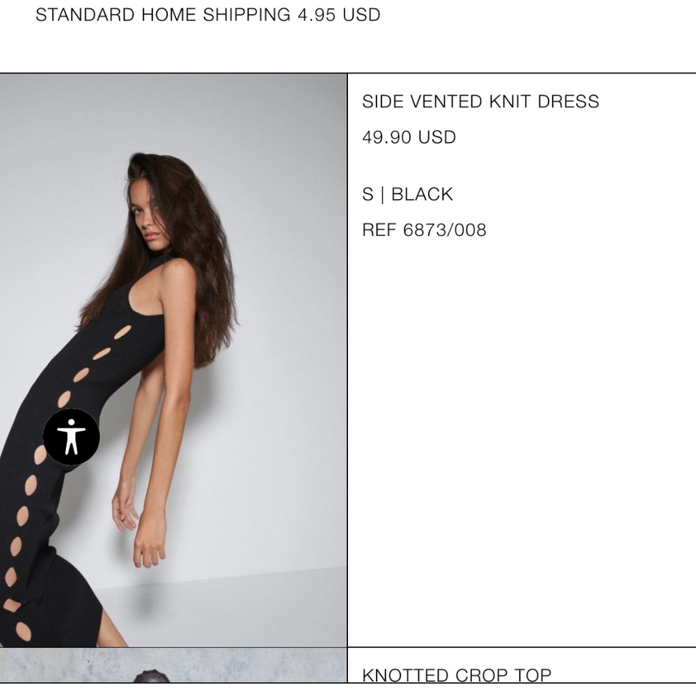 Zara dress
